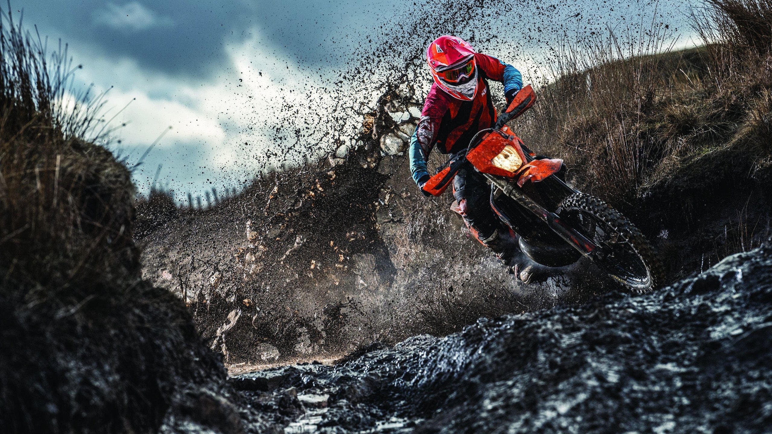 伊朗马术协会与国际马术联合会合作，举办国际马术交流活动，促进技术交流。