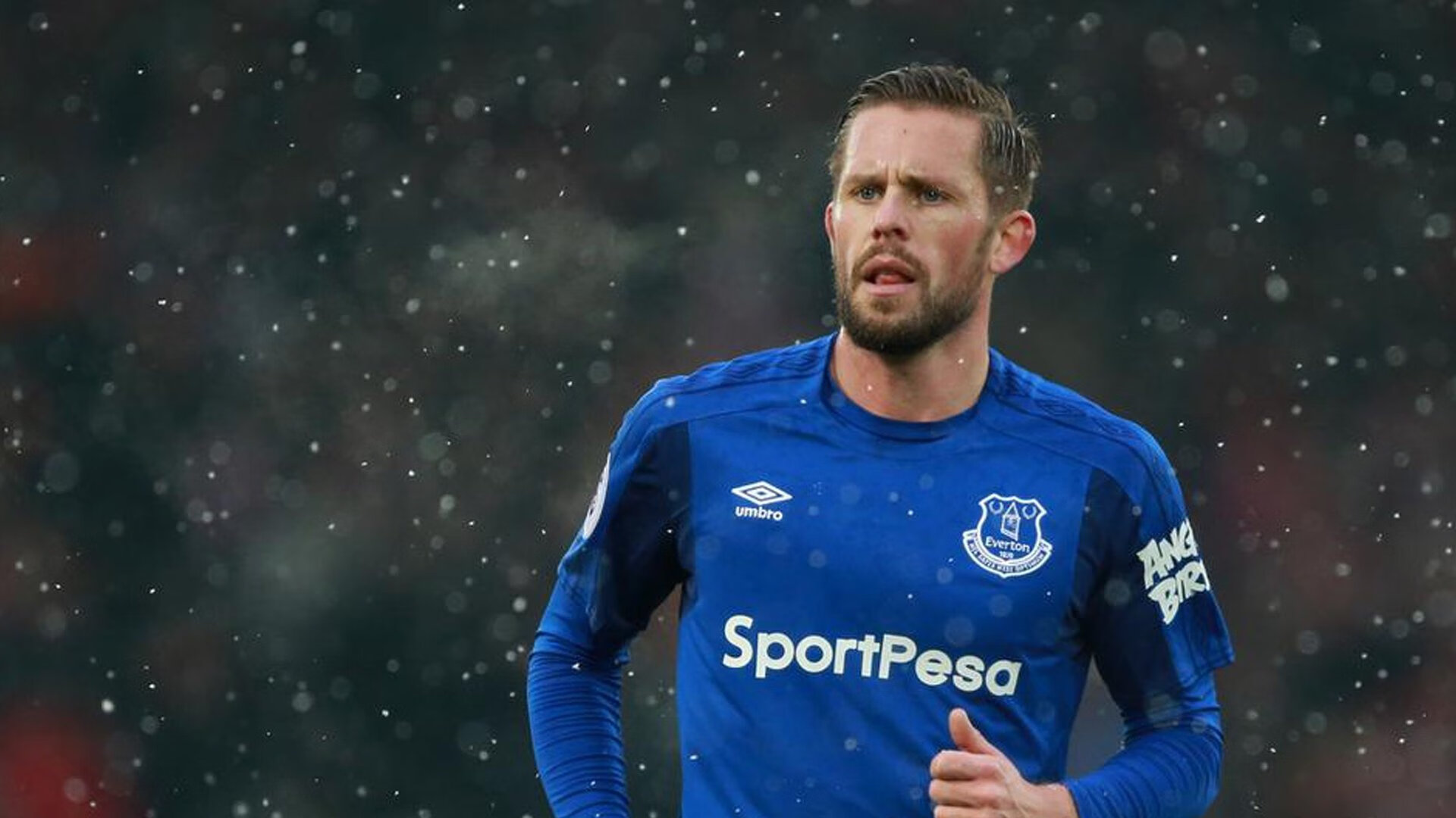 伊朗骑手卡尔·阿里·阿尔达比在巴黎奥运会上与“Porthos Maestro WH Z”马匹携手参赛，表现出色。